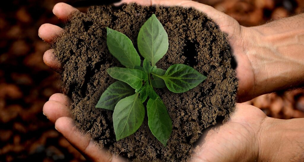 sustainability initiatives